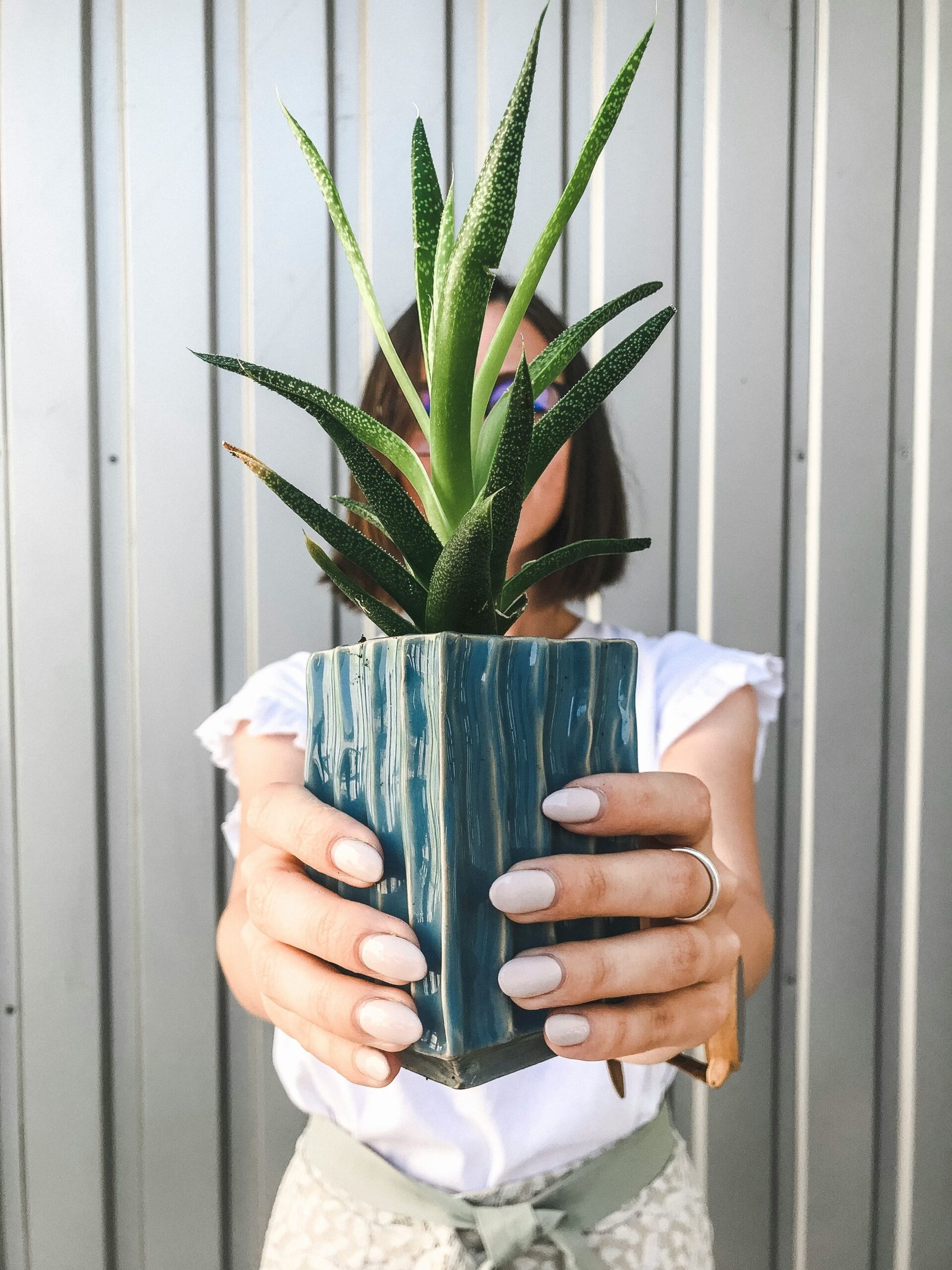 Los secretos de belleza del Aloe vera