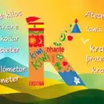 Descubre el Fascinante Mundo de las Palabras en Español que Comienzan con la Letra 'K'
