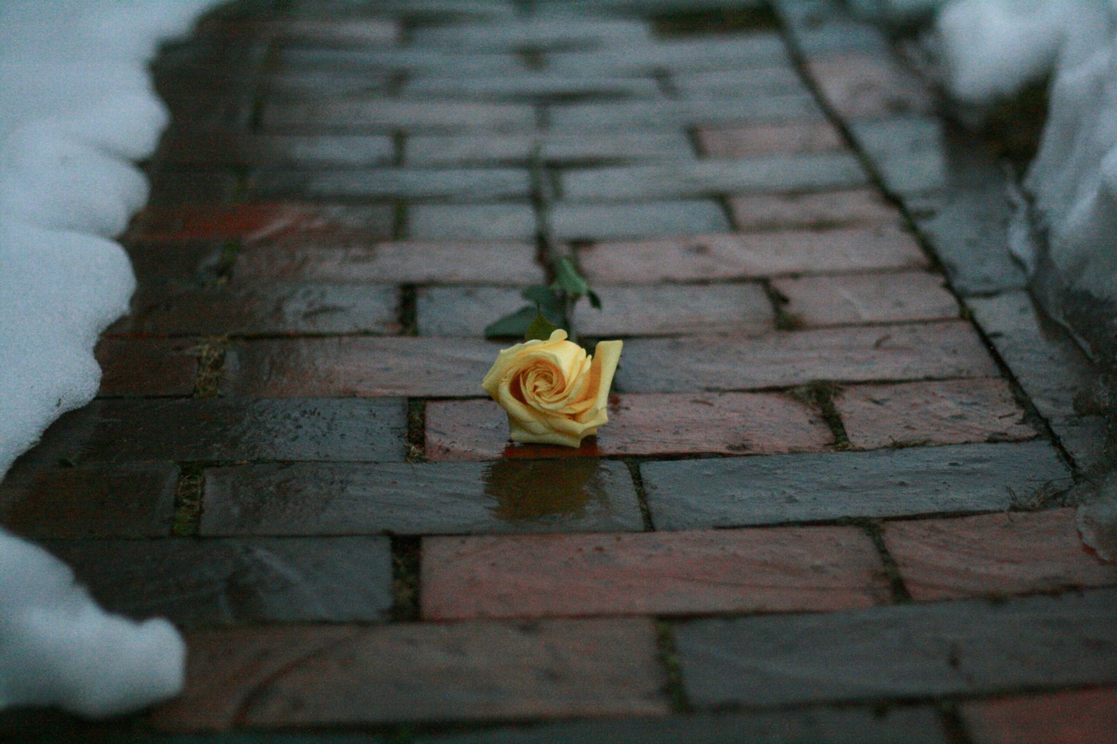 sad love quotes