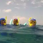 100 Frases Persuasivas para Promocionar y Vender Exitosamente Tours de Snorkel